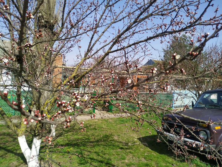 Участок 25 сот. (ИЖС)