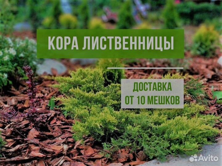 Кора для мульчирования в наличии