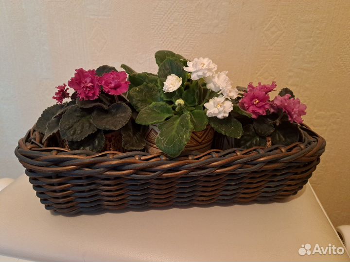 Сплету кашпо из полиротанга