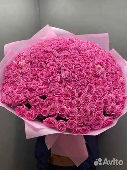 101 Роза Цветы Пионы