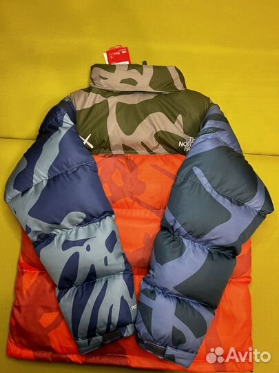 Пуховик The North Face Kaws