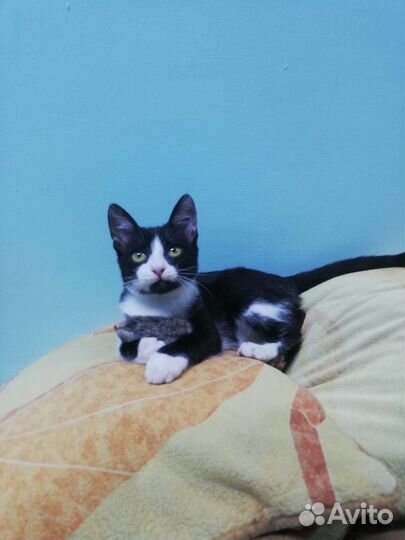 Супер Мурзилочка