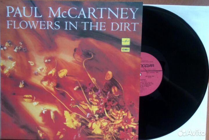 Queen, Beatles, Paul McCartney, Elvis Presley