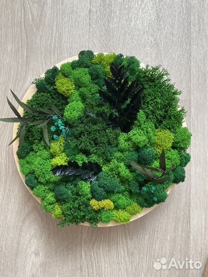 Панно из стабилизированного мха декоративное