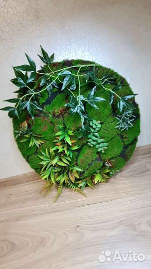 Картина, фито панно, картина из мха, фитостена