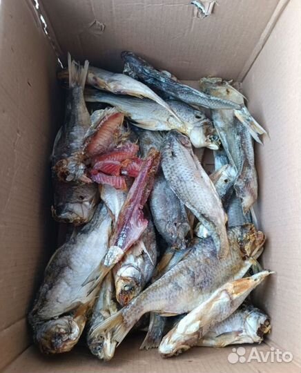 Вобла вяленая