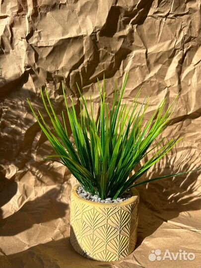 Декоративная зелень в гипсовом кашпо