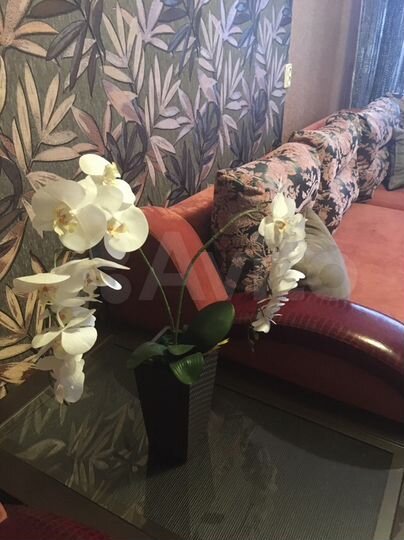 2-к. квартира, 48 м², 1/5 эт.