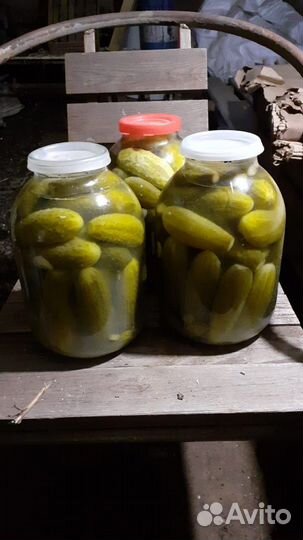 Огурцы соленые