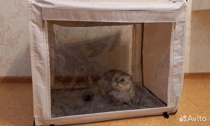 Выставочная палатка для кошек