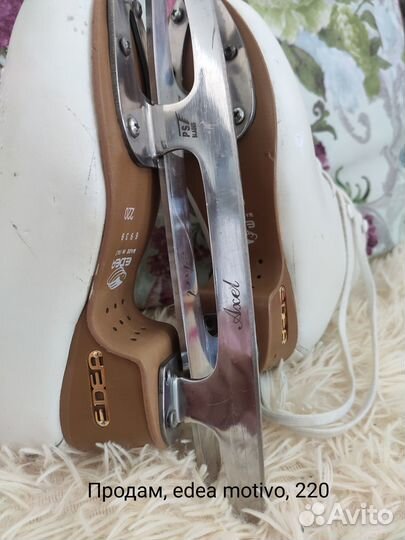 Коньки edea motivo 220