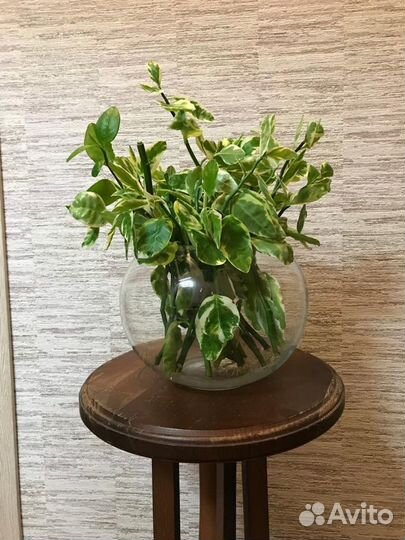 Аквариум/Ваза-Шар для флорариума