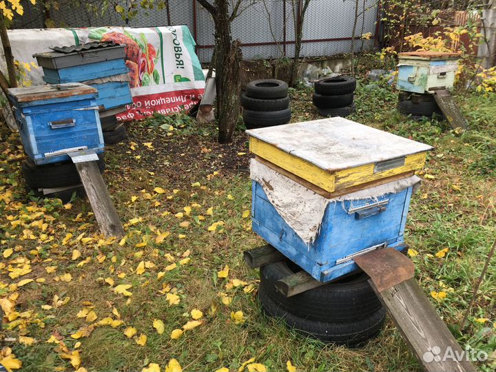 Ульи для пчел