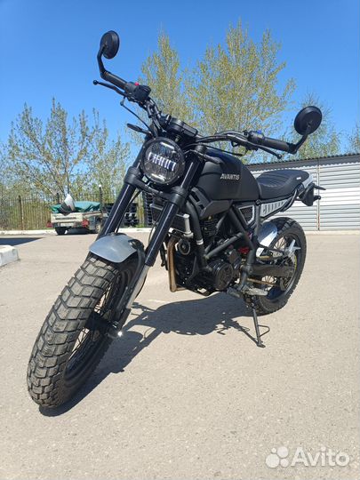 Avantis City 250 птс