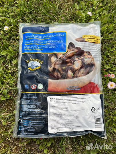 Мидии в створках