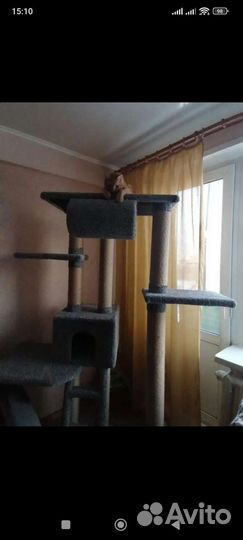 Когтеточка домик для кошки