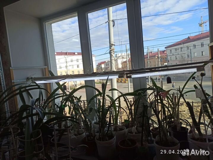 Подсветка для растений