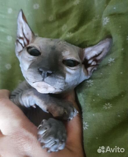 Девочка эльфийка