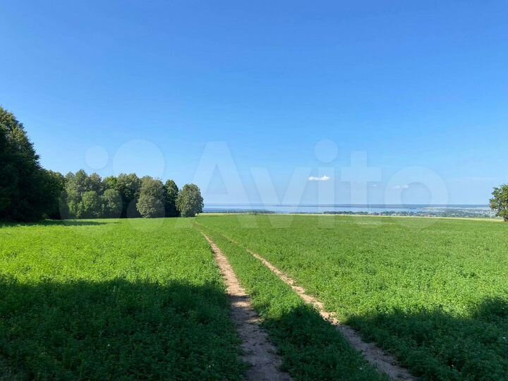 Участок 4,62 га (СНТ, ДНП)