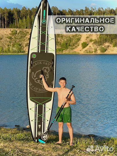 Сапборды Кои