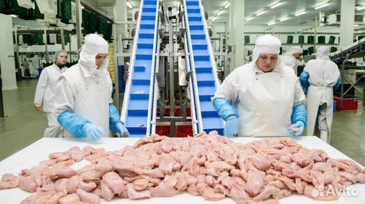 Разнорабочий на мясокомбинат(вахта)
