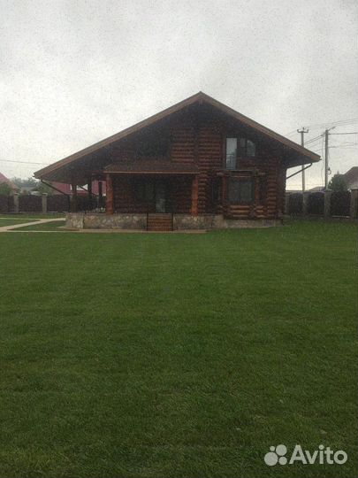 Рулонный газон стандарт