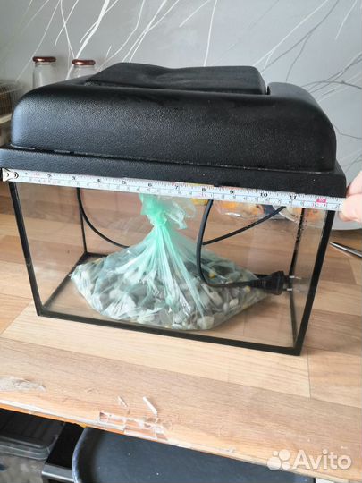 Аквариумные рыбки