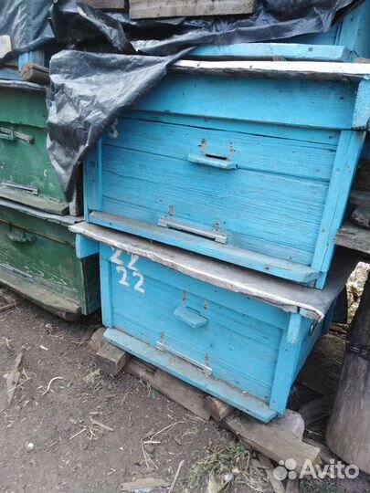 Ульи для пчел