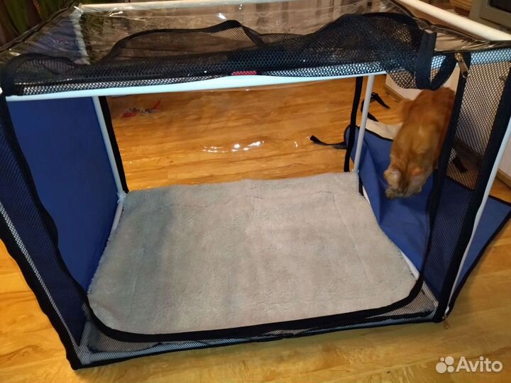 Выставочная палатка, вольер Ладиоли