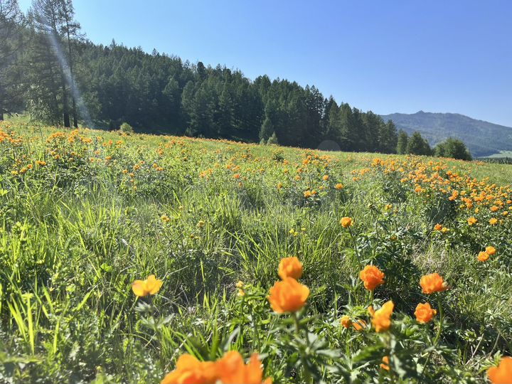 Участок 100 сот. (промназначения)