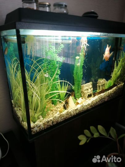Аквариум с тумбой 180л