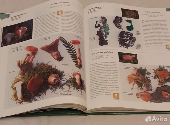 Подар. альбом