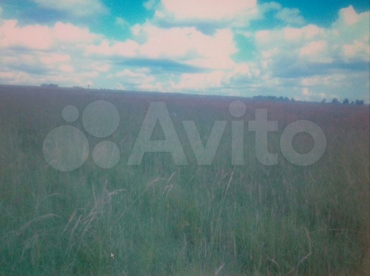 Участок 44 сот. (СНТ, ДНП)