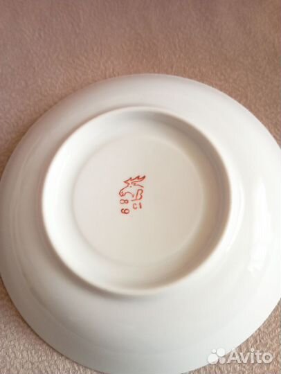 Блюдце - гигант , Вербилки , СССР