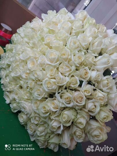 101 белая роза 70 см