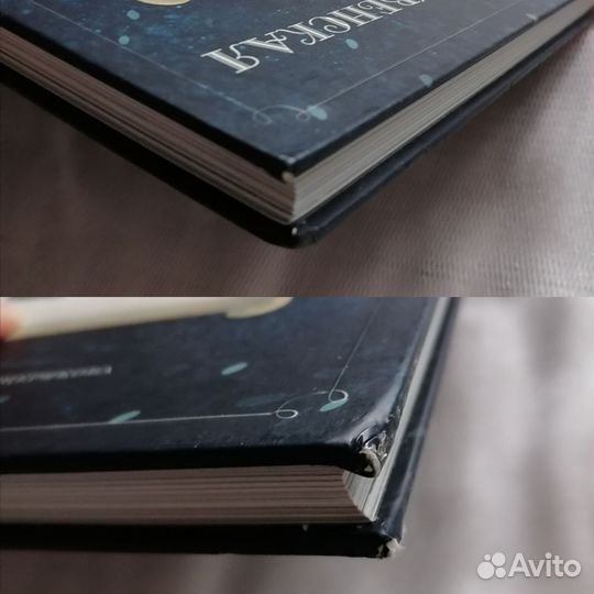 Рождественская ёлка. Книга