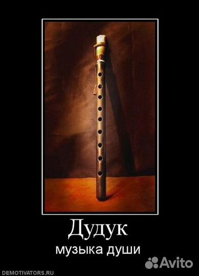 Дудук. Гитара. Вокал. Проведу концерт