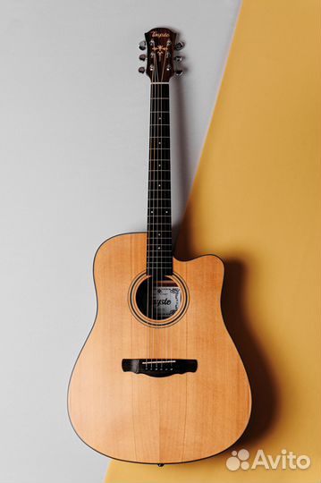 Акустическая гитара Tasyte TS 62 D Массив