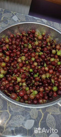 Крыжовник ягоды