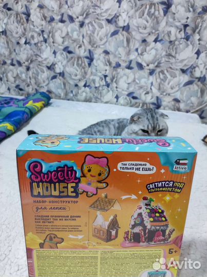 Набор конструктор для лепки Sweety House 5+