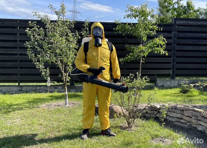 Уничтожение тараканов и клопов дезинсекция