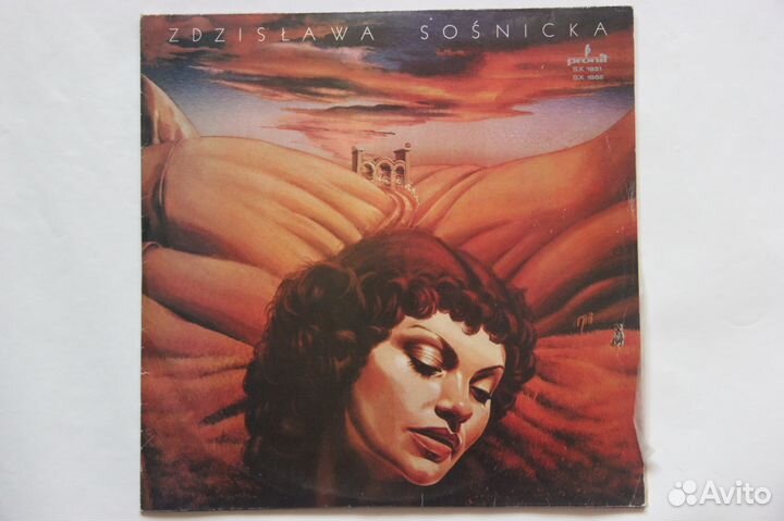 Вениловые пластинки