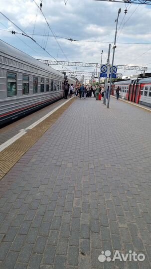 Организация поездки/отдыха