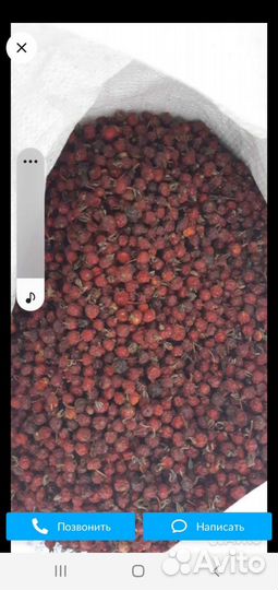 Плоды шиповника