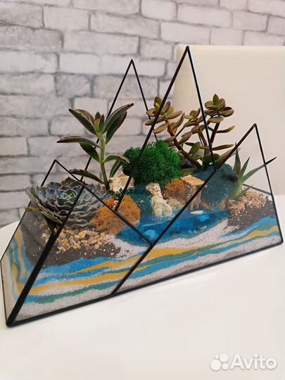 Флорариум. Цветы. Подарок