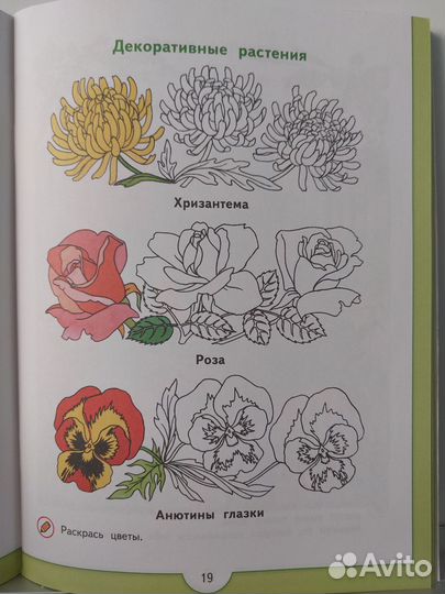 Зелёная тропинка, учебник для 5-7 лет