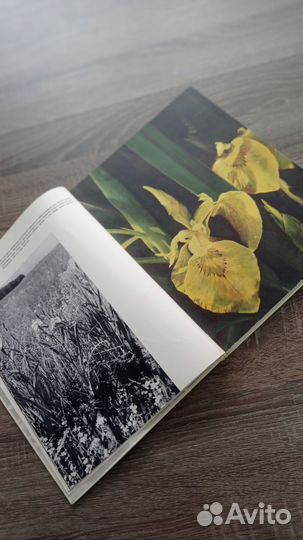 Книга Лех Вильчек 