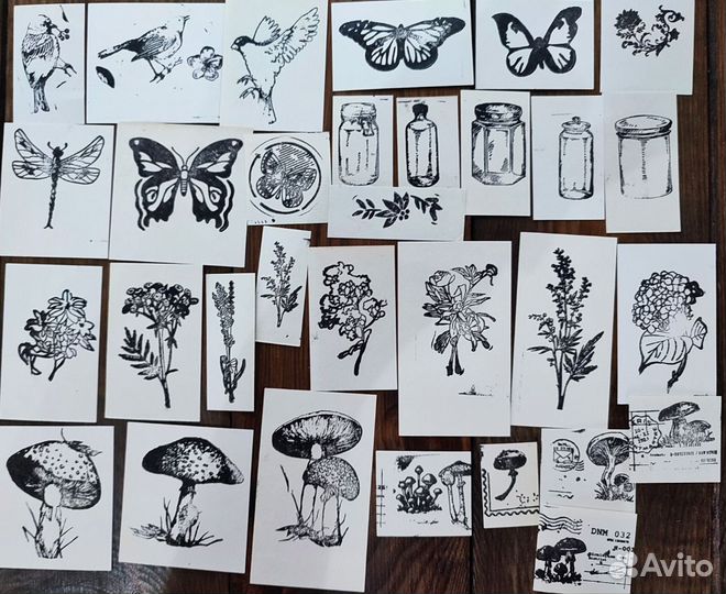Ботаническиие наборы чёрно белые, насекомые