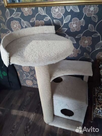 Когтеточка домик для кошки бу