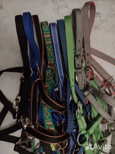 Недоуздок для лошади